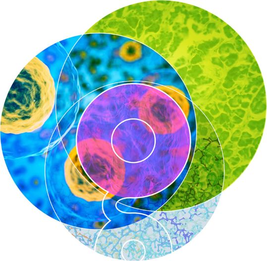 home-hero-feature_70